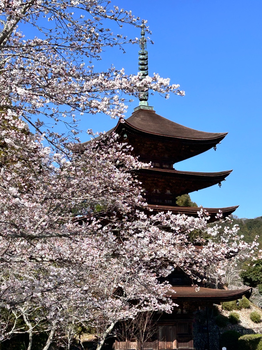 瑠璃光寺五重塔 | 去趣 chicTrip