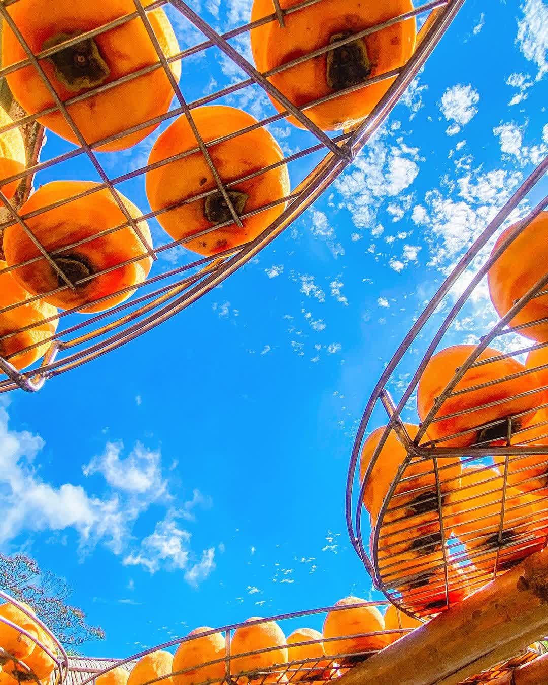 味衛佳柿餅教育農園 | 去趣 chicTrip