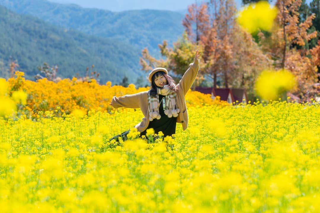 武陵農場 | 去趣 chicTrip