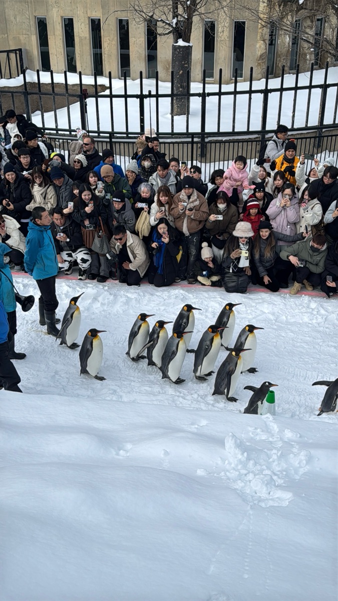 旭山動物園 | 去趣 chicTrip
