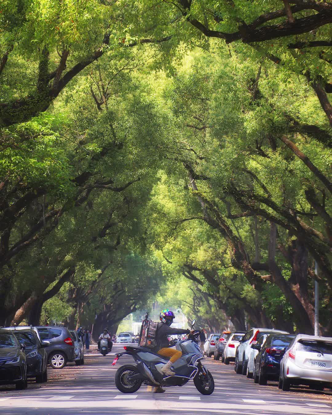 中興新村 | 去趣 chicTrip