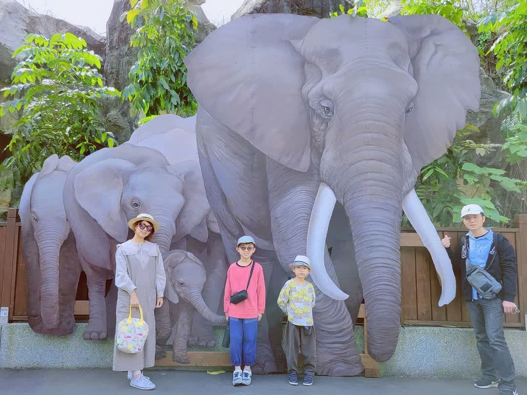 臺北市立動物園 | 去趣 chicTrip