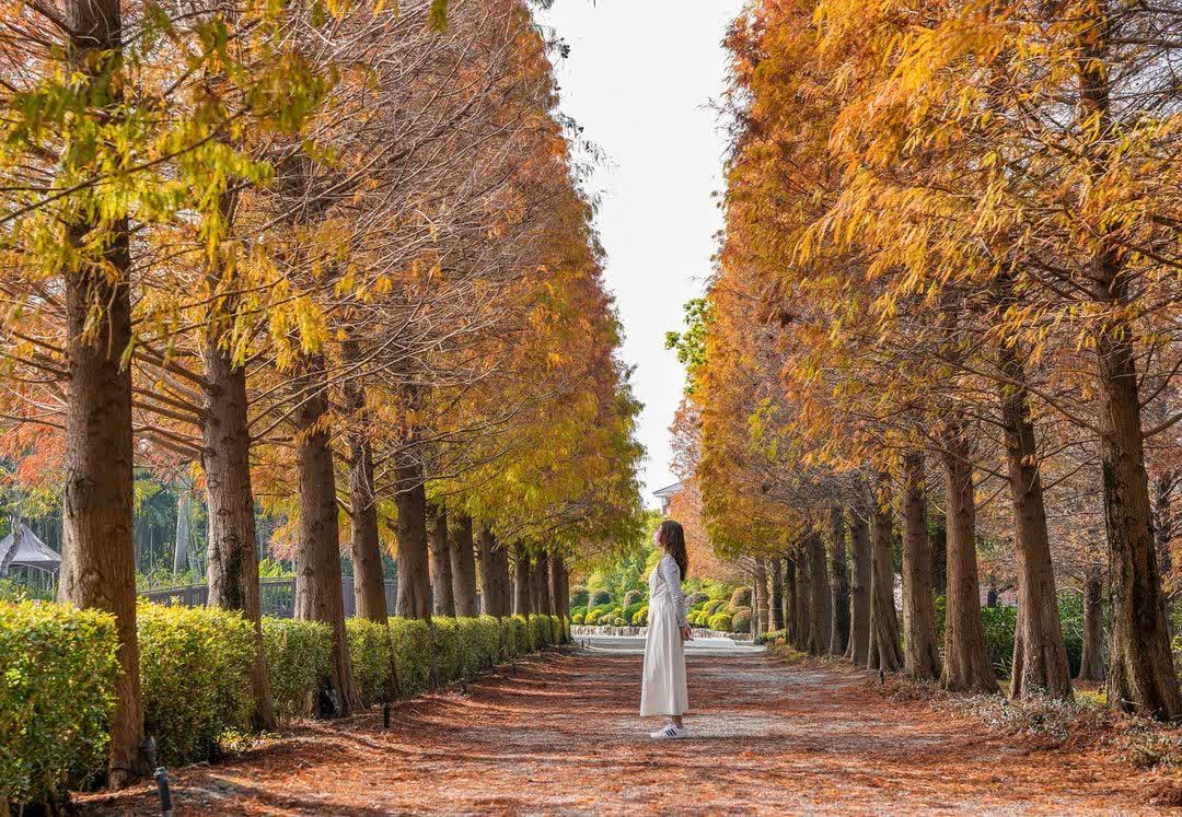 成美文化園 | 去趣 chicTrip