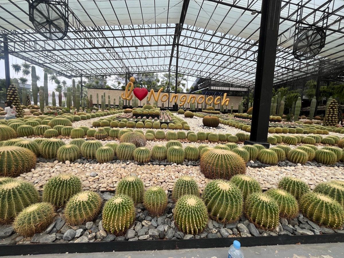 東芭樂園 | 去趣 chicTrip