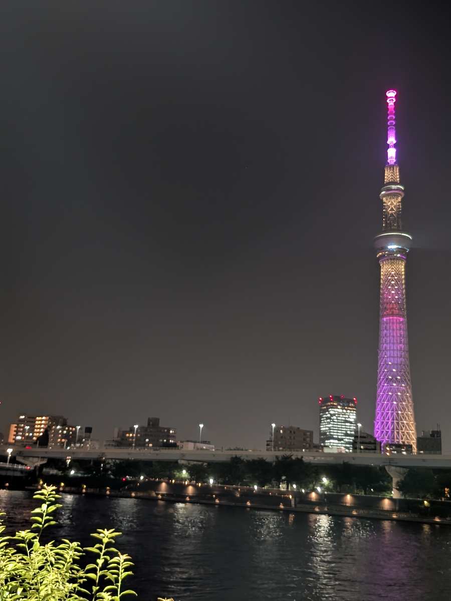 隅田公園 (淺草側) | 去趣 chicTrip