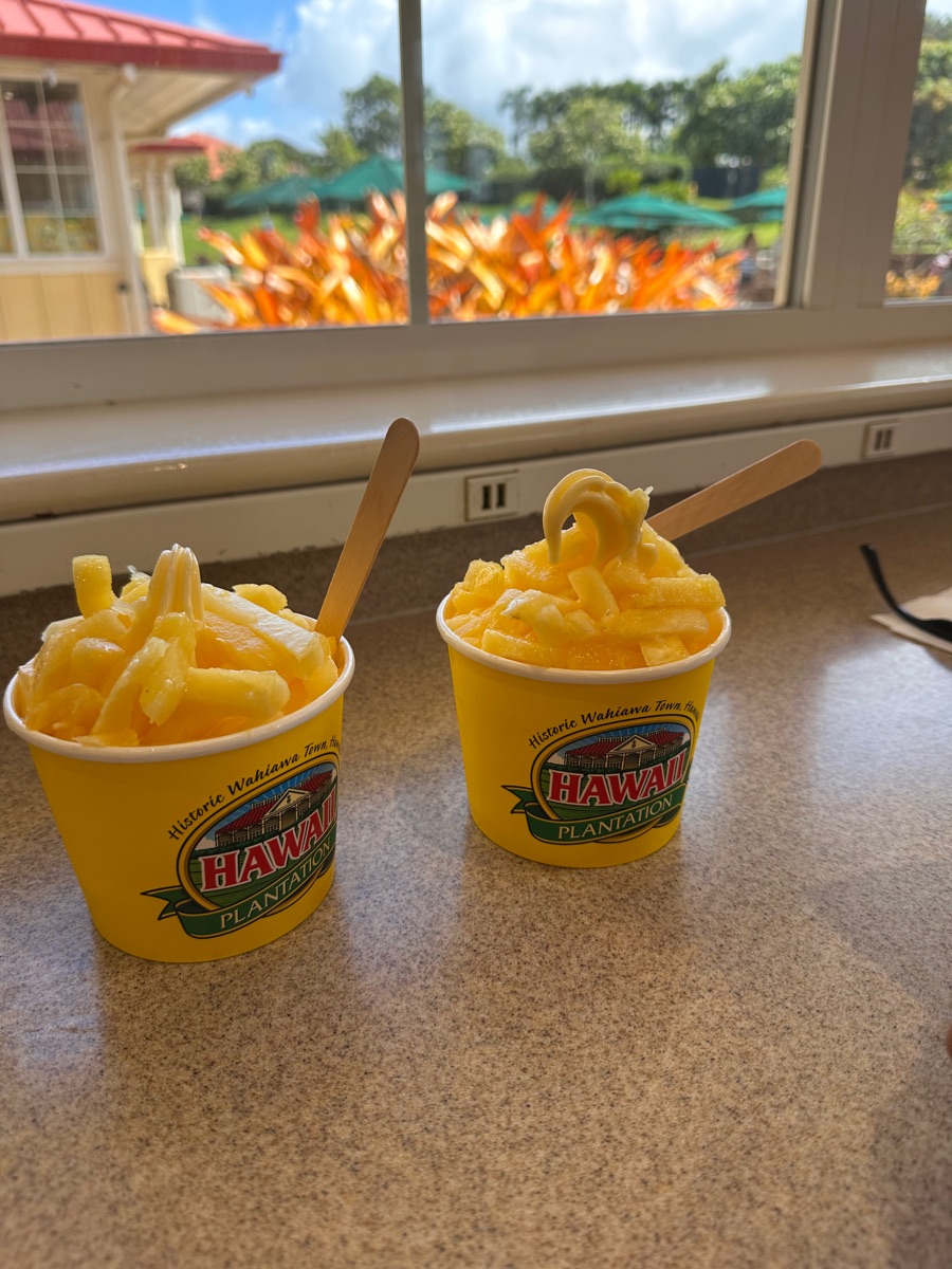 Dole Plantation | 去趣 chicTrip