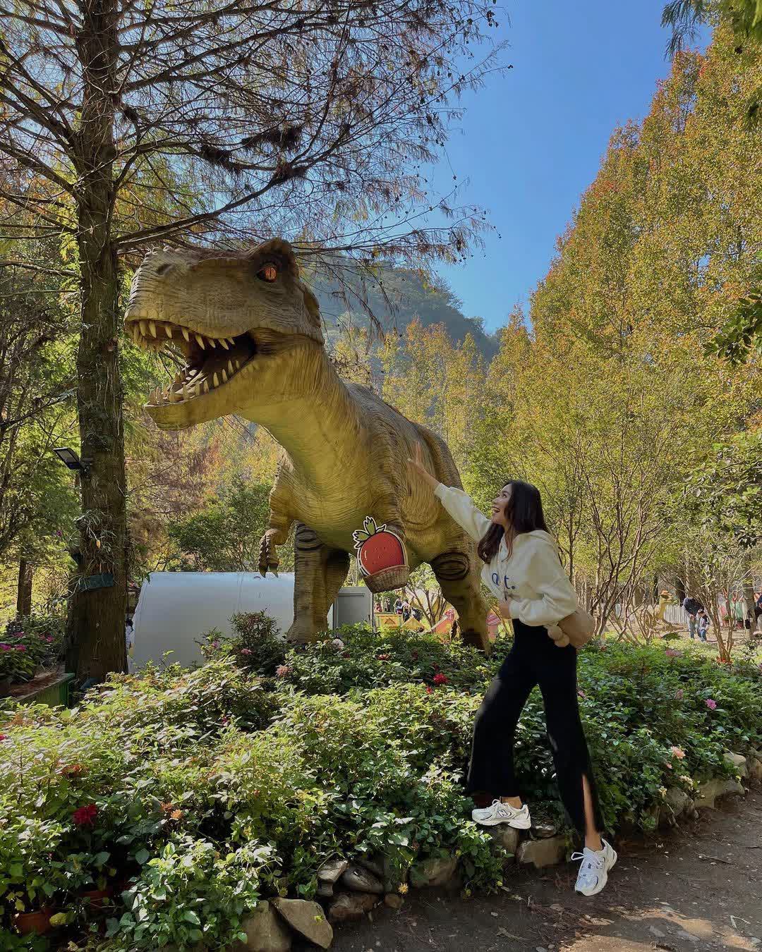 台一生態休閒農場(楓樺台一渡假村) | 去趣 chicTrip