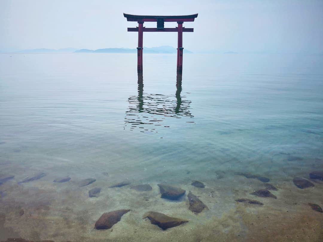 琵琶湖湖中鳥居（白鬚神社） | 去趣 chicTrip