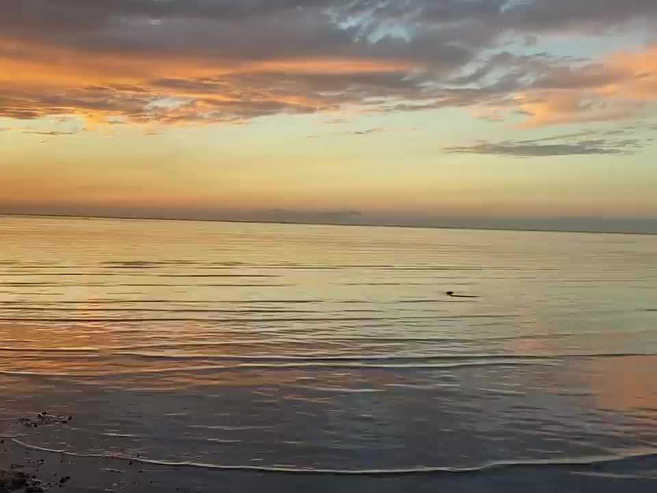 香山濕地賞蟹步道 | 去趣 chicTrip