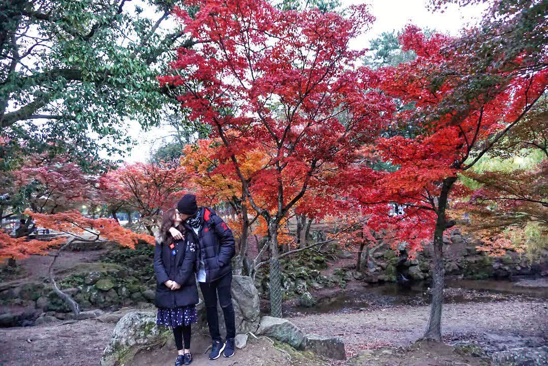 Tōdai-ji 東大寺 | 去趣 chicTrip