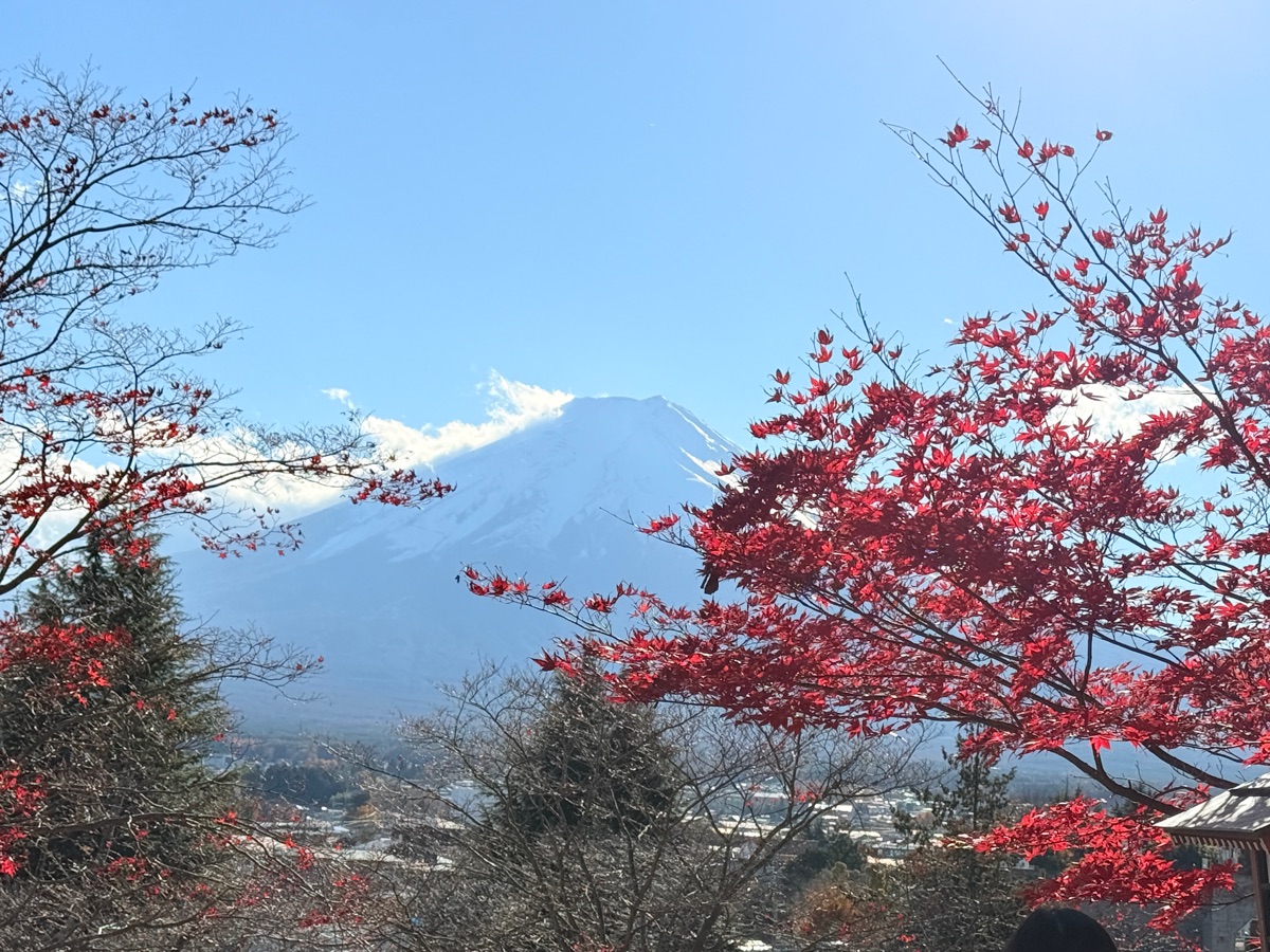 新倉富士淺間神社 | 去趣 chicTrip