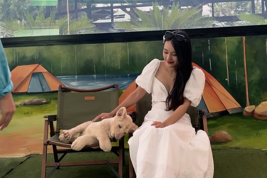 Sriayuthaya Lion Park | 去趣 chicTrip