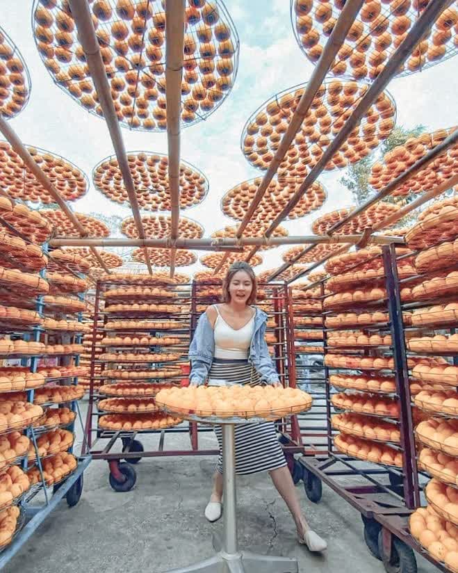 味衛佳柿餅教育農園 | 去趣 chicTrip