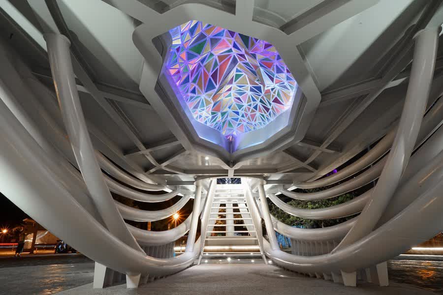 大魚的祝福 | 去趣 chicTrip