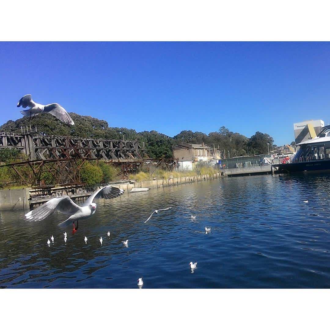 Sydney Fish Market | 去趣 chicTrip