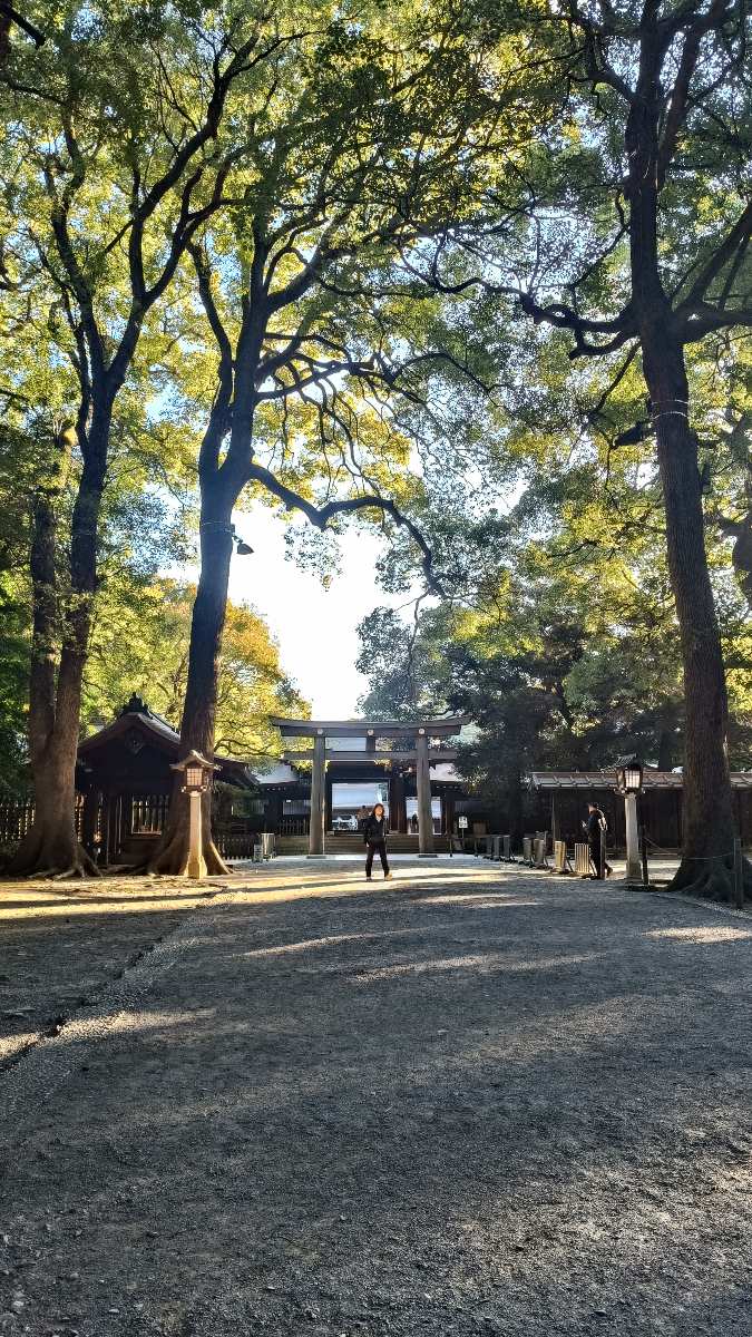 明治神宮 | 去趣 chicTrip