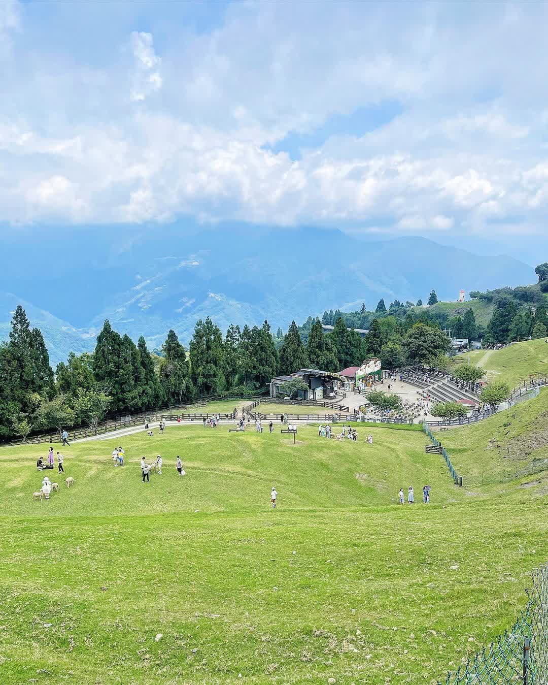 清境農場青青草原 | 去趣 chicTrip