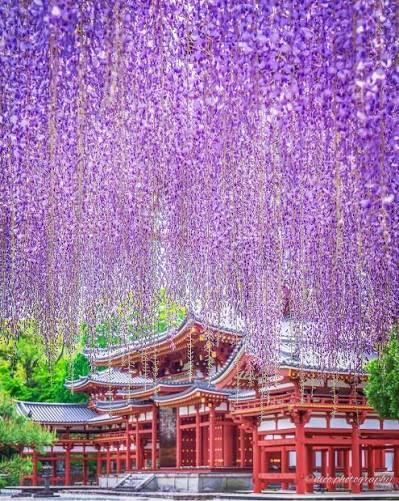 平等院 | 去趣 chicTrip