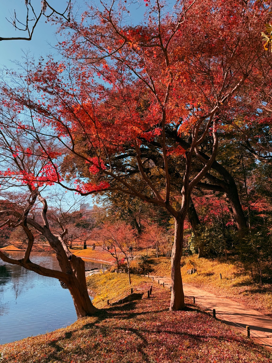 小石川後樂園 | 去趣 chicTrip
