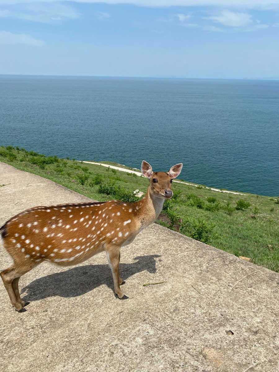 大坵島 | 去趣 chicTrip