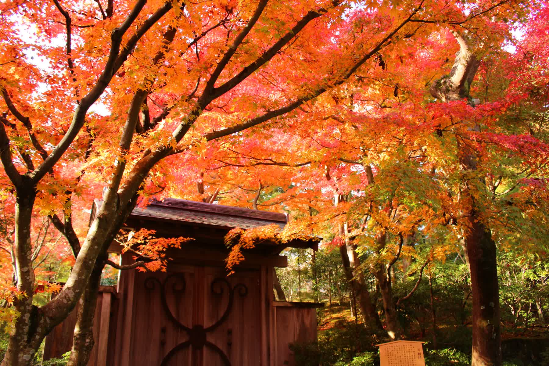 MOA美術館 | 去趣 chicTrip