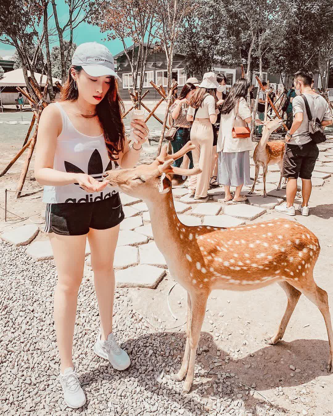 宜蘭-斑比山丘 | 去趣 chicTrip