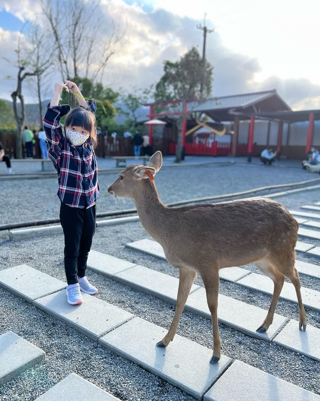 張美阿嬤農場（月森甯手作工坊） | 去趣 chicTrip