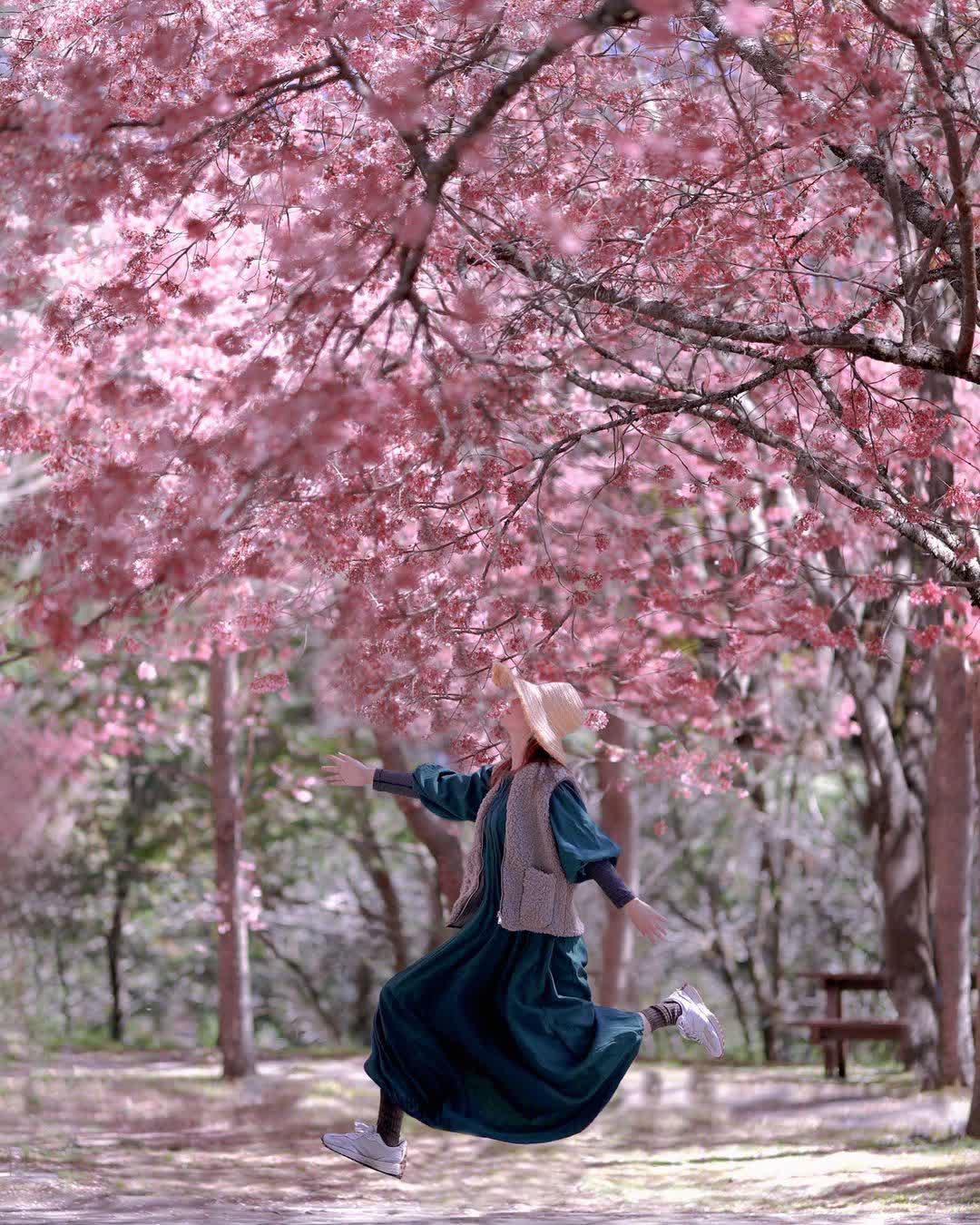 武陵農場 | 去趣 chicTrip