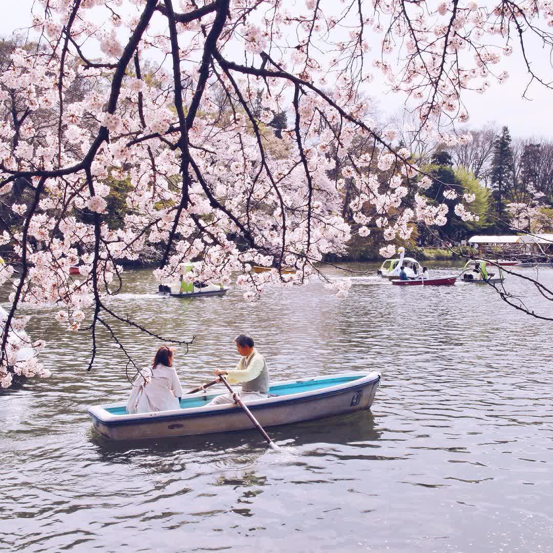 井之頭自然文化園 | 去趣 chicTrip