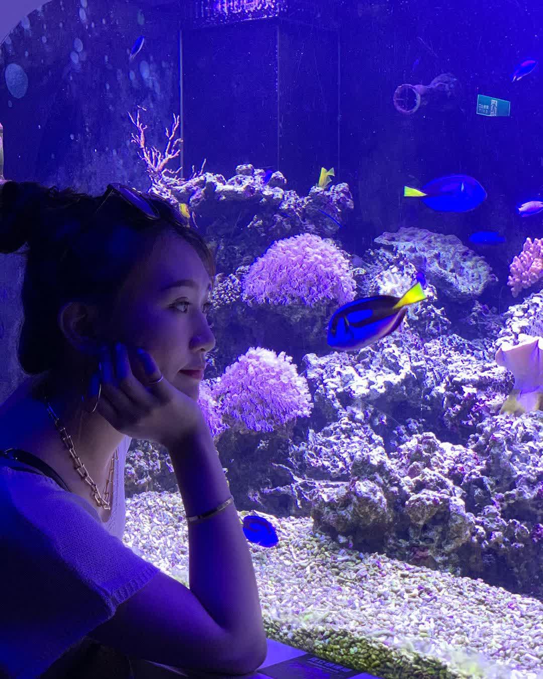 澎湖水族館 | 去趣 chicTrip