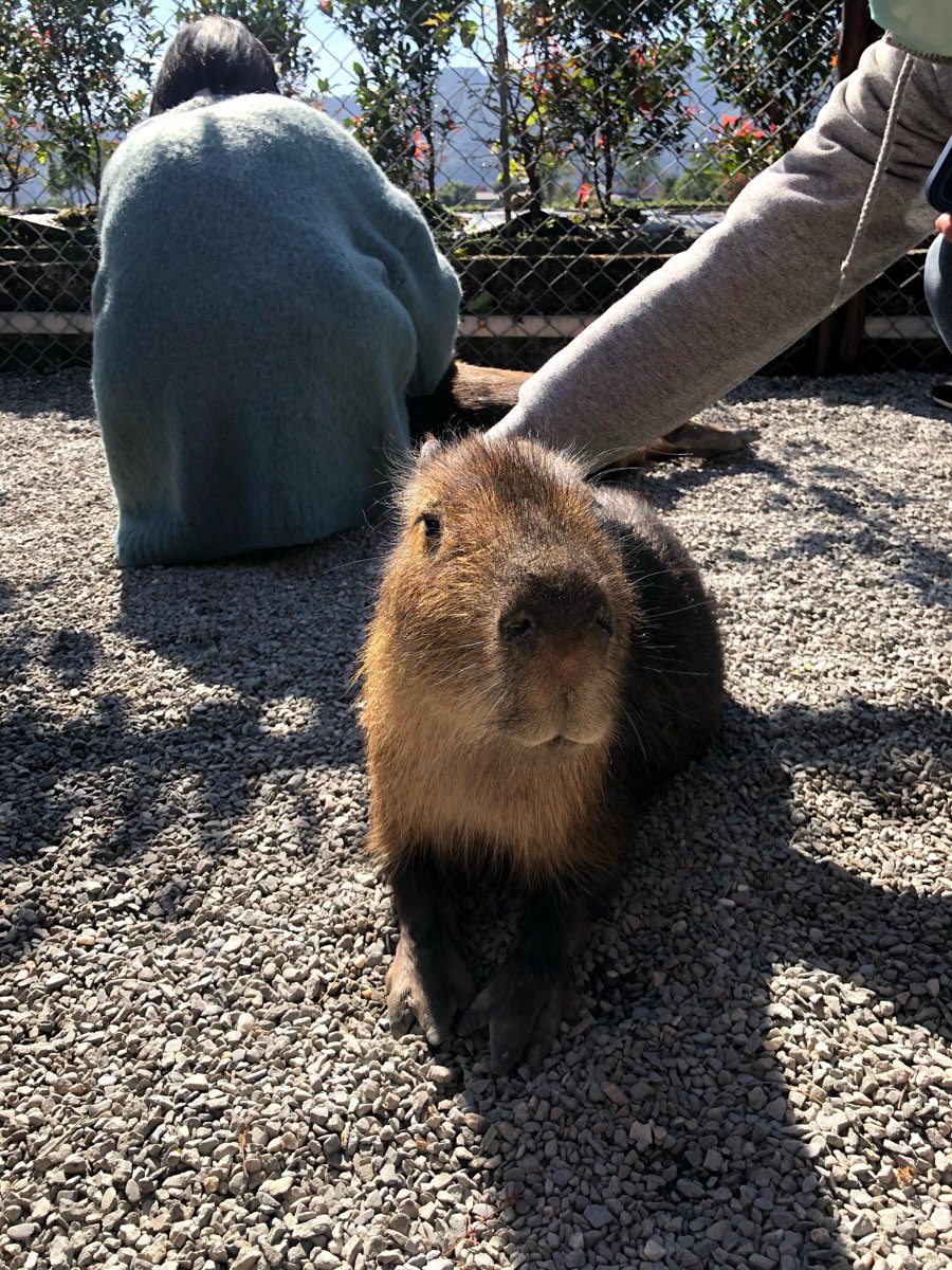 張美阿嬤農場（月森甯手作工坊） | 去趣 chicTrip