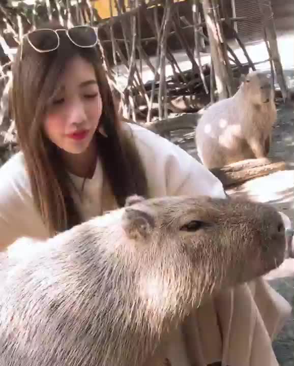 頑皮世界野生動物園 | 去趣 chicTrip