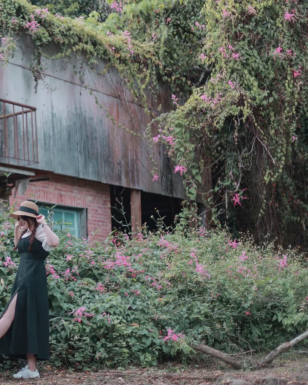 中興新村 | 去趣 chicTrip