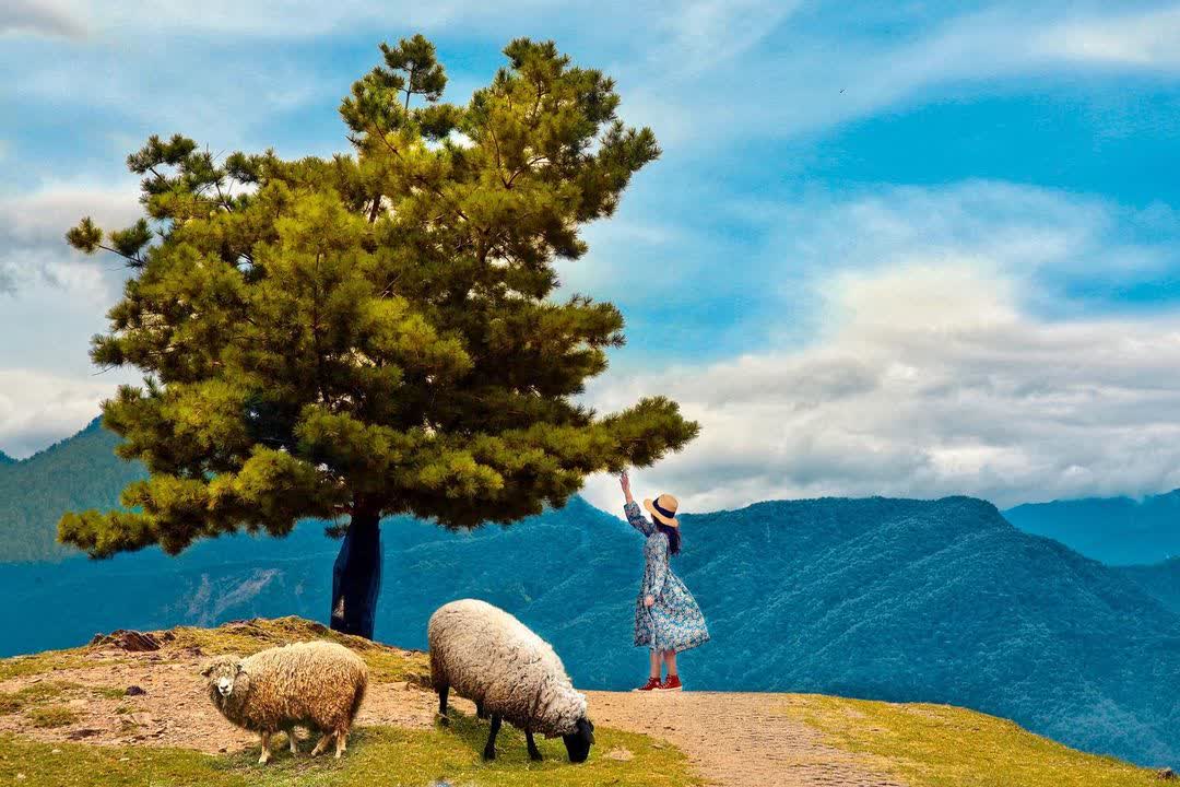 清境農場觀山牧區 | 去趣 chicTrip