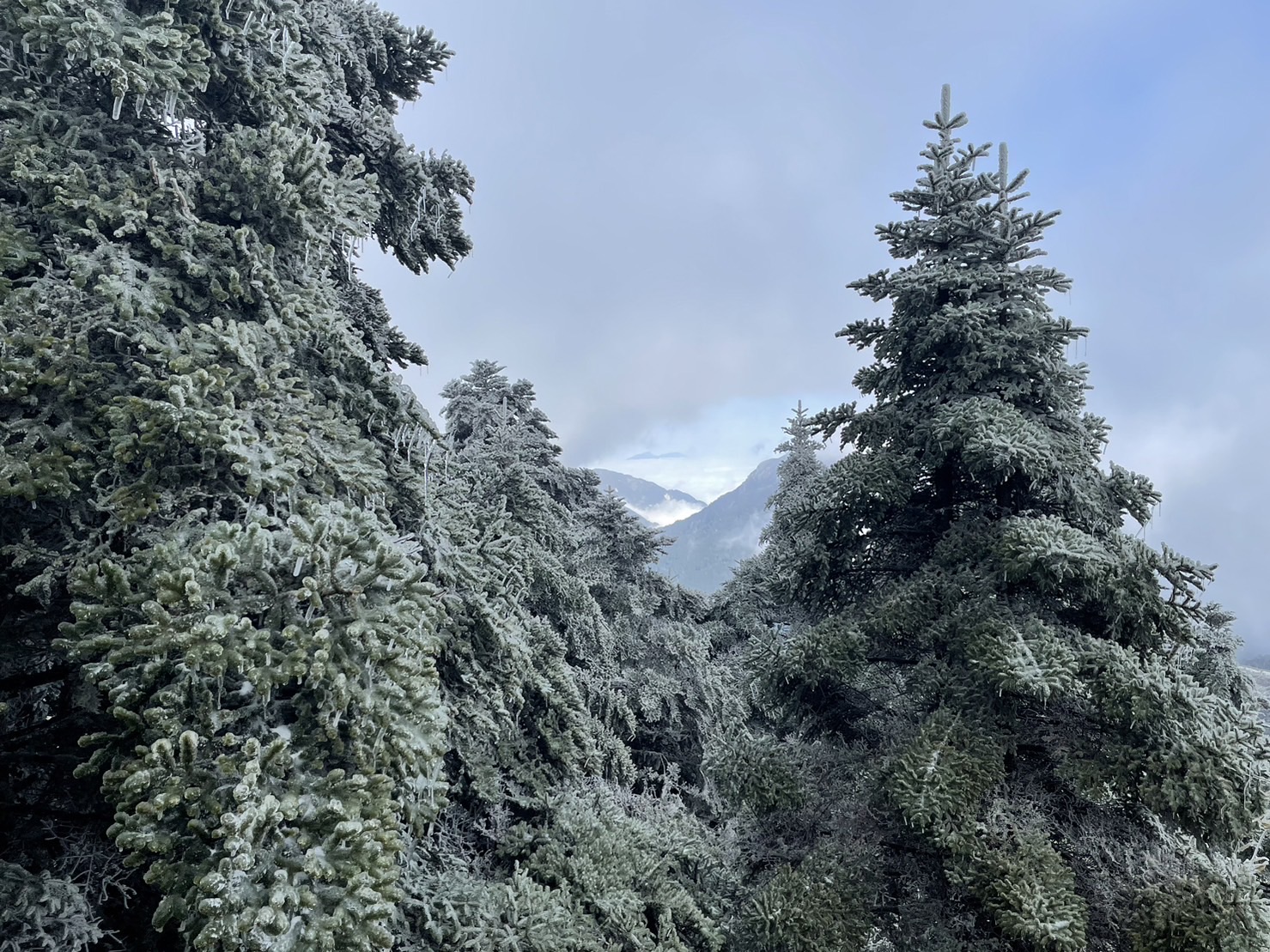 合歡山 | 去趣 chicTrip