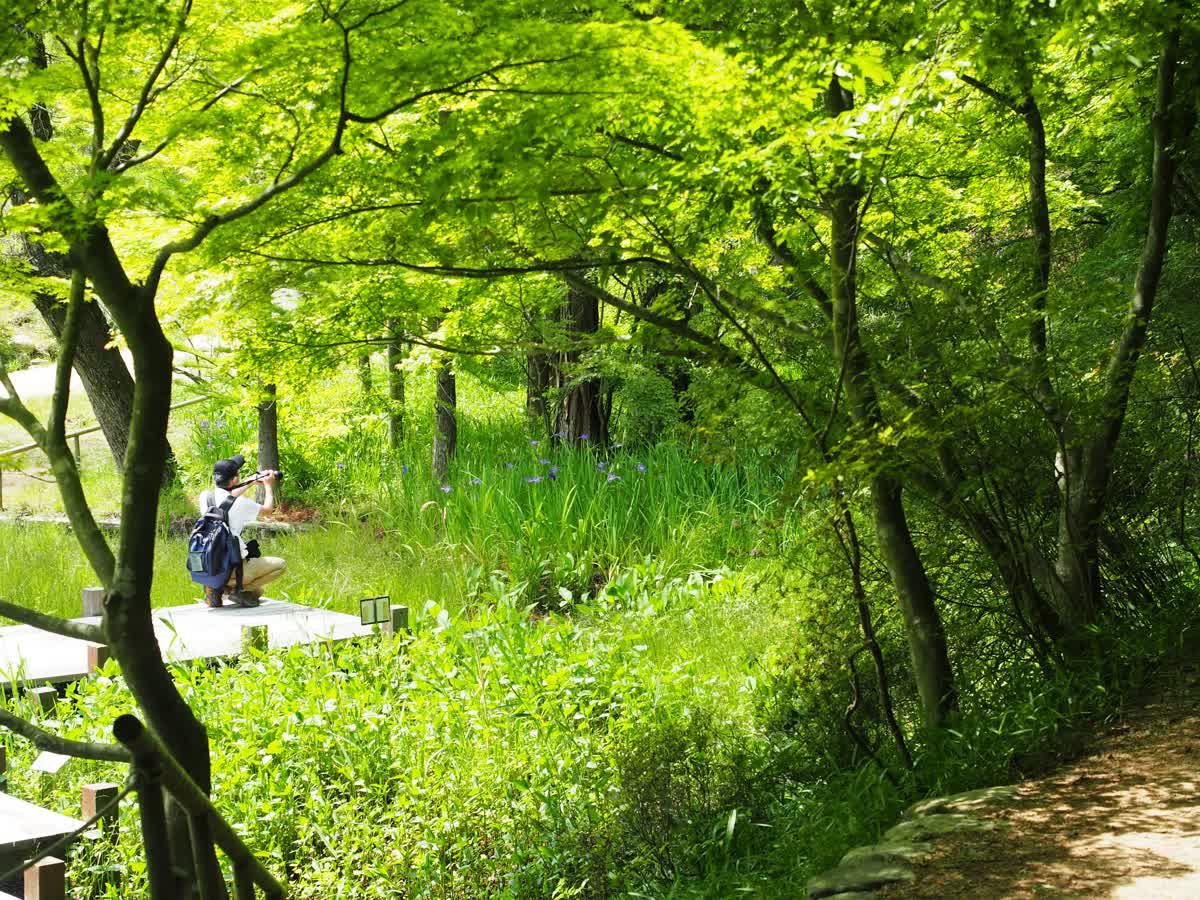 神戶市立森林植物園 | 去趣 chicTrip