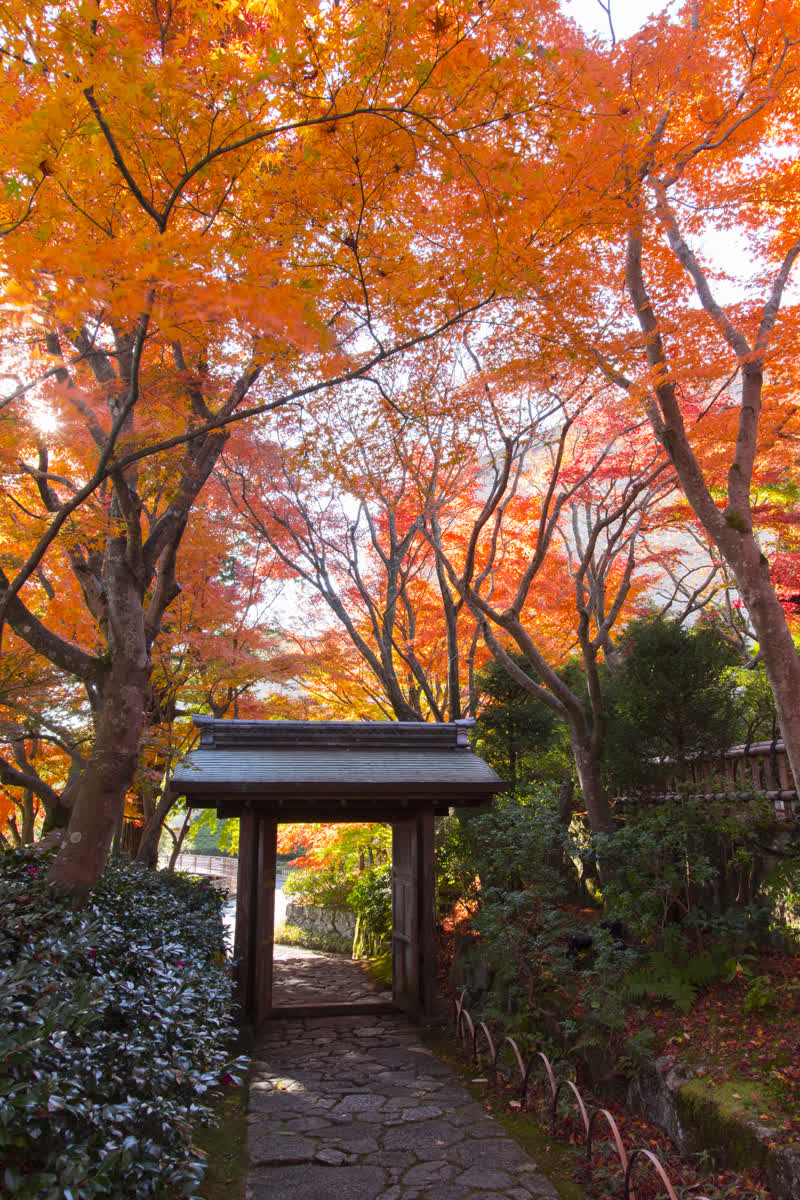 MOA美術館 | 去趣 chicTrip