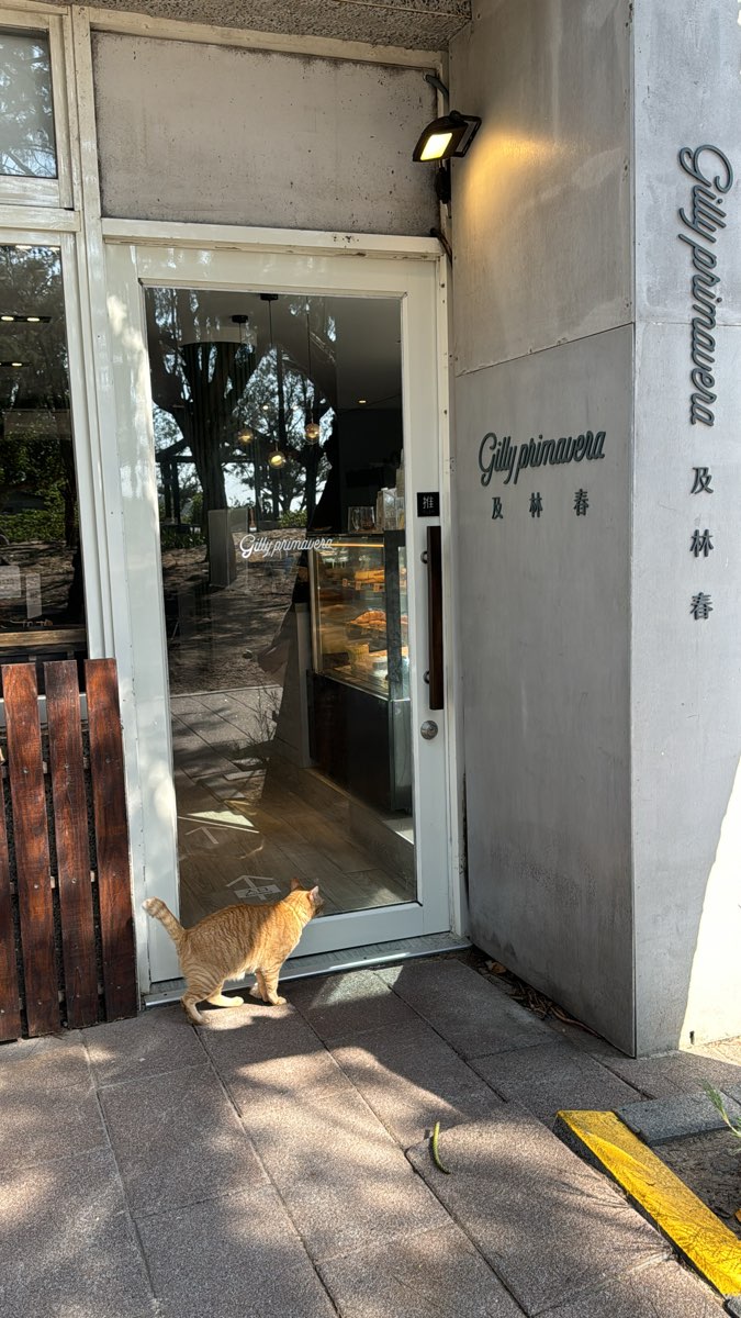 及林春咖啡館(2025.12.16-2026.3.15暫時公休） | 去趣 chicTrip