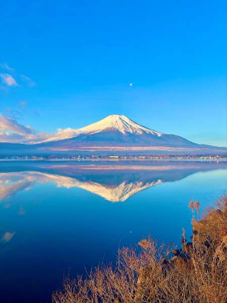 長池親水公園 | 去趣 chicTrip