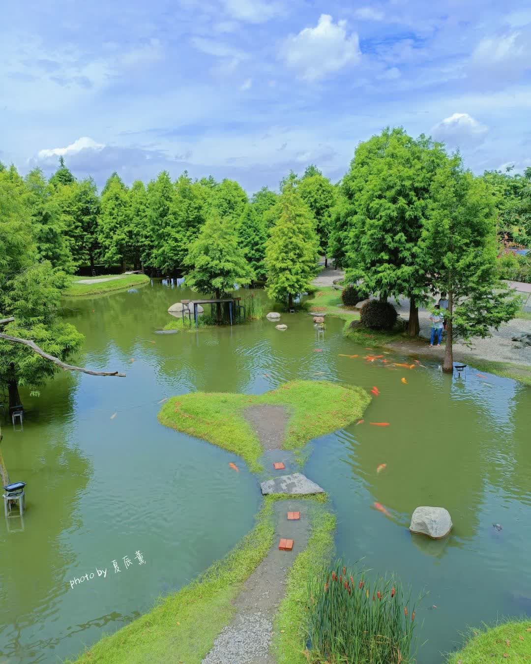 澄霖沉香味道森林館 | 去趣 chicTrip