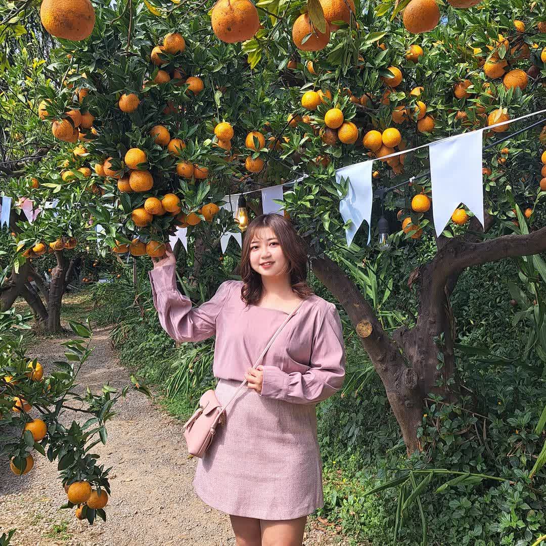 橙香森林 | 去趣 chicTrip