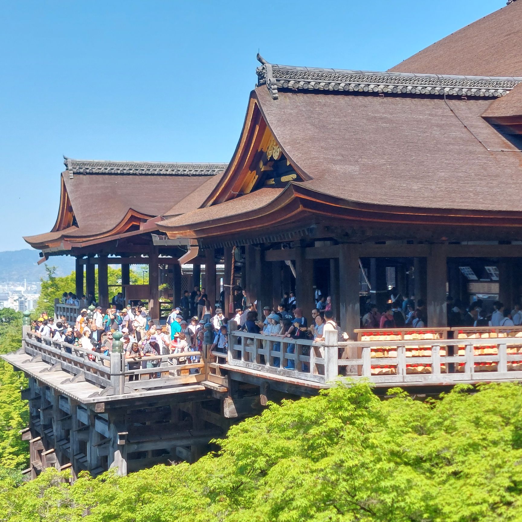 清水寺 | 去趣 chicTrip