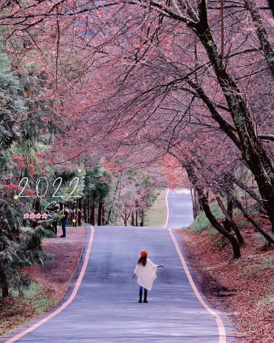 武陵農場 | 去趣 chicTrip