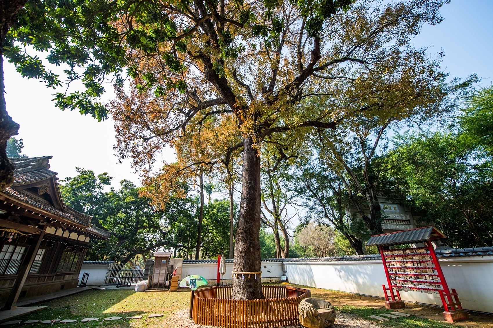 昭和十八J18-原嘉義市史蹟資料館 | 去趣 chicTrip