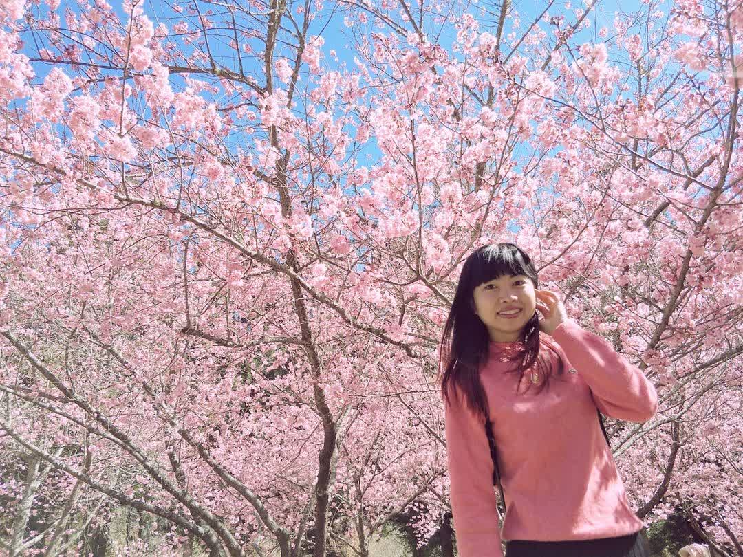 武陵農場 | 去趣 chicTrip