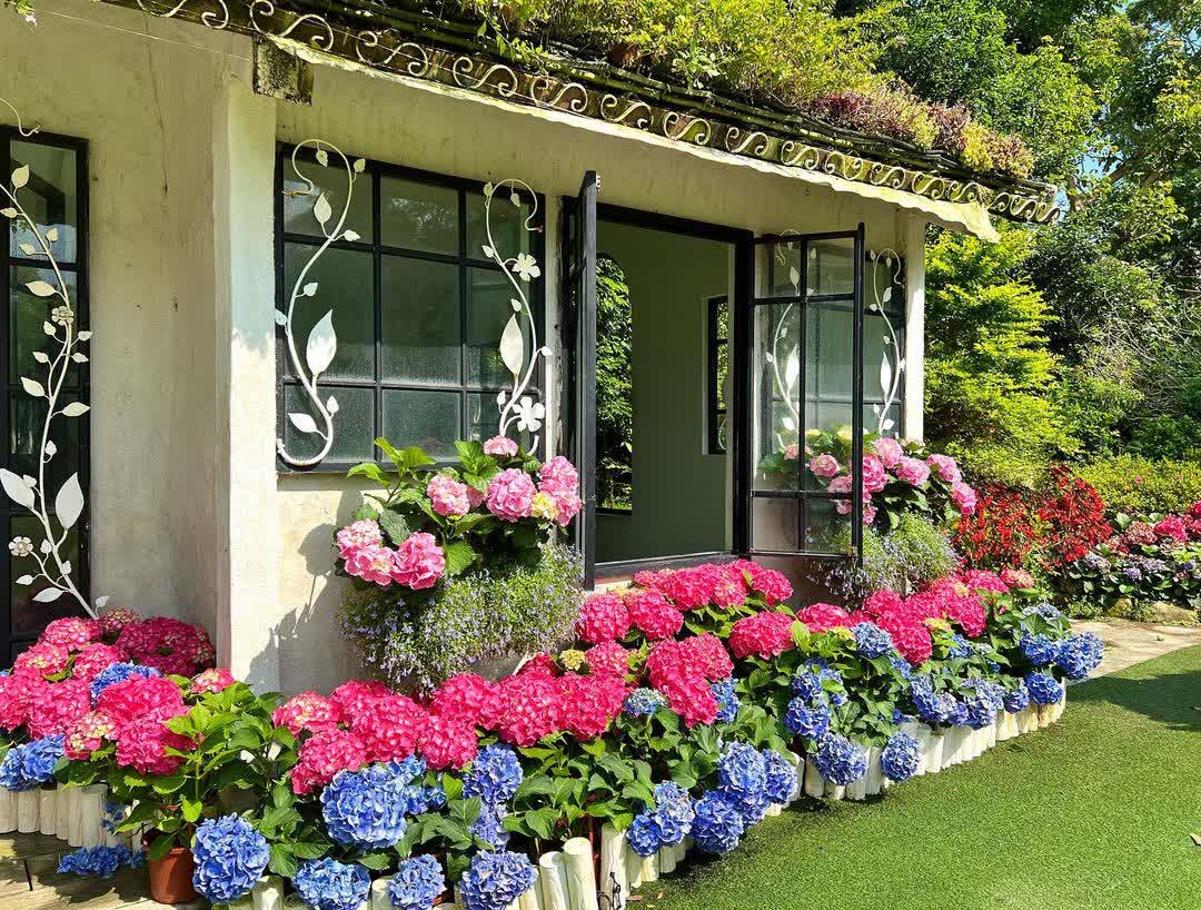 花露農場 Flower Home | 去趣 chicTrip