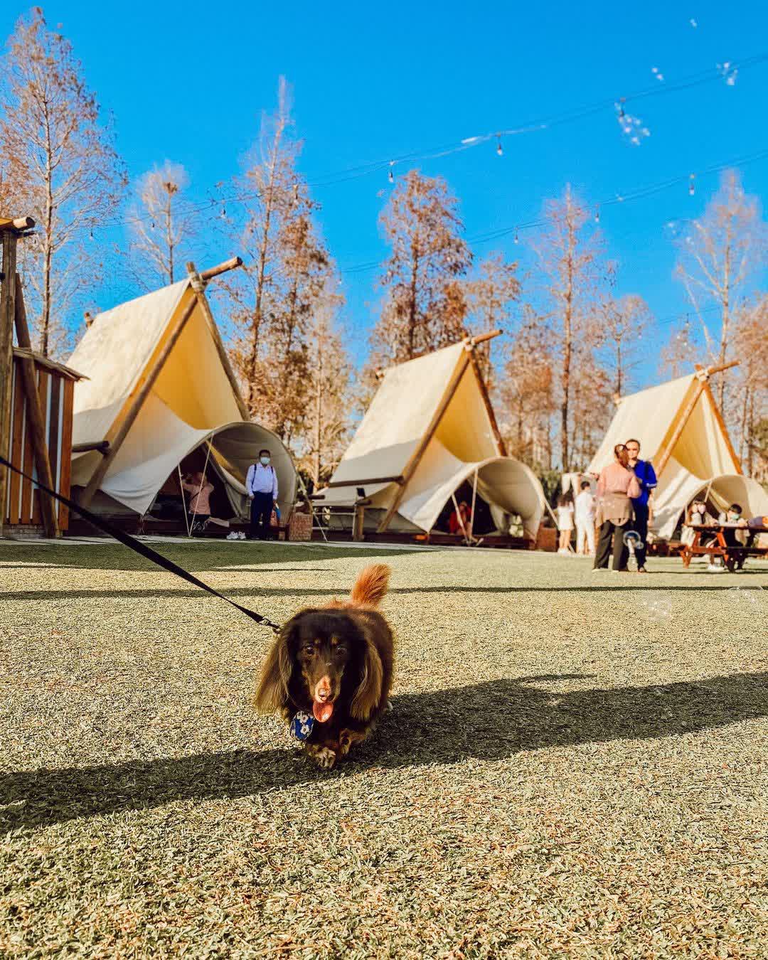 淨園農場 | 去趣 chicTrip