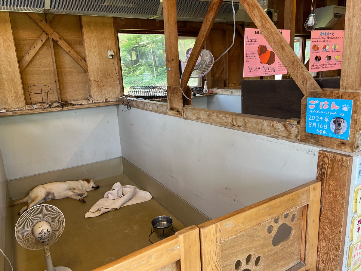 旭山動物園 | 去趣 chicTrip