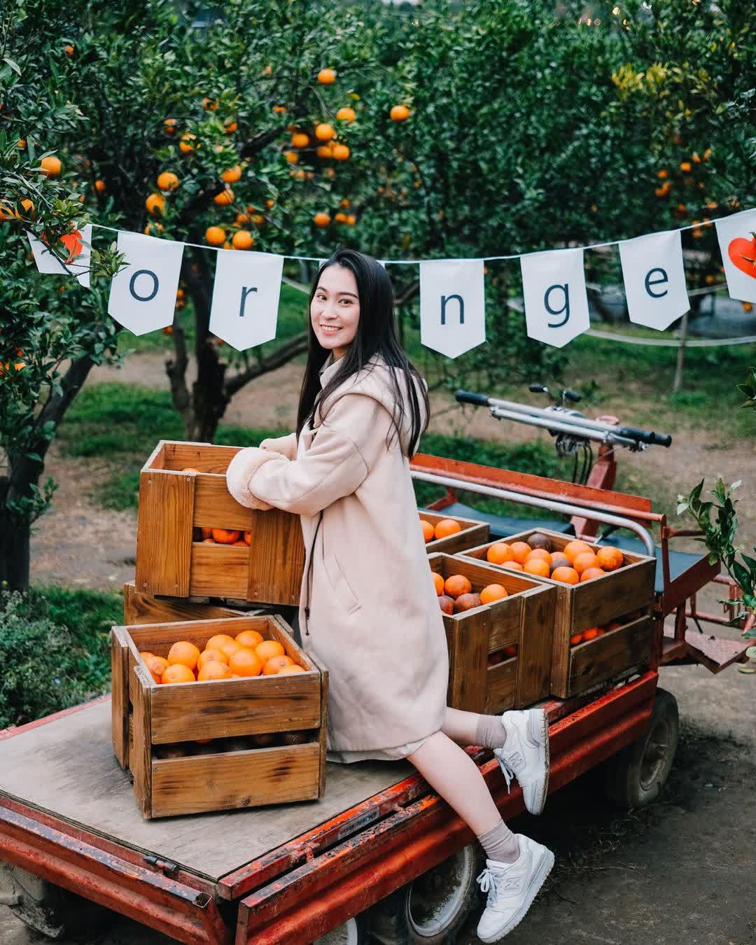 橙香森林 | 去趣 chicTrip