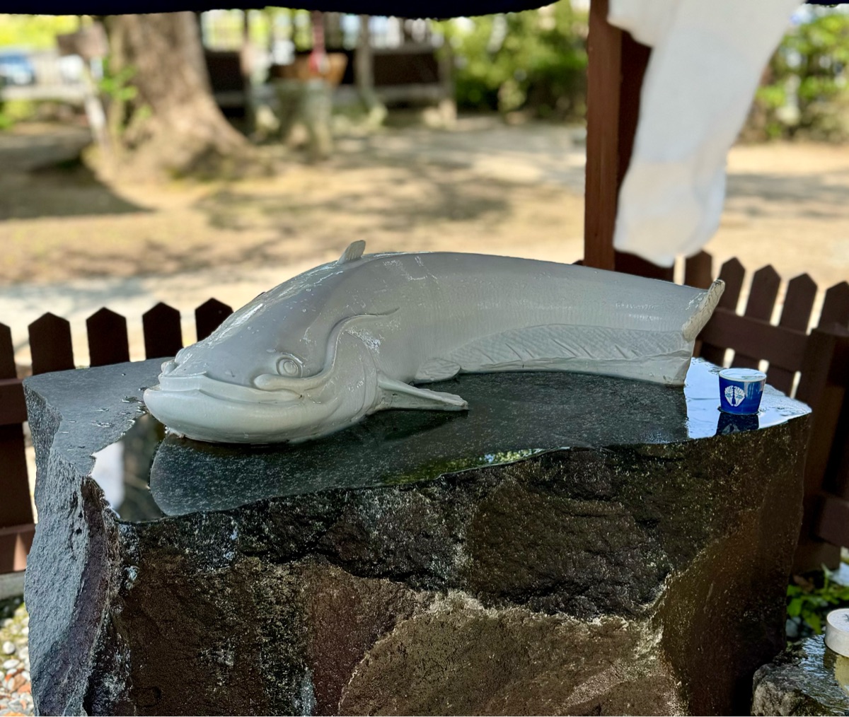 白鯰魚 豐玉姫神社 | 去趣 chicTrip